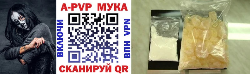 Alfa_PVP СК  закладка  Багратионовск 