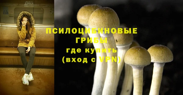 мяу мяу кристалл Осинники