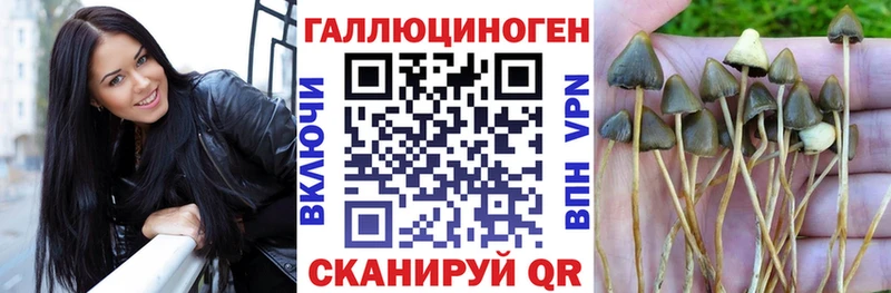 Галлюциногенные грибы ЛСД  Багратионовск 